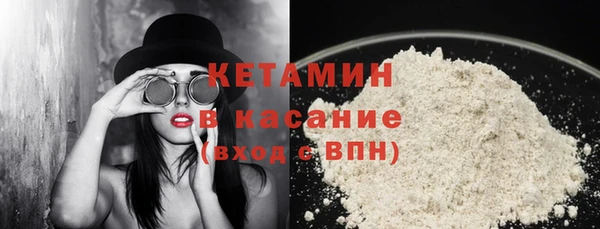 СК Пересвет