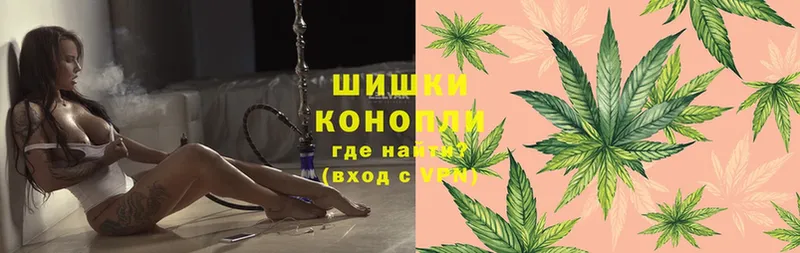 Конопля SATIVA & INDICA  Новое Девяткино 